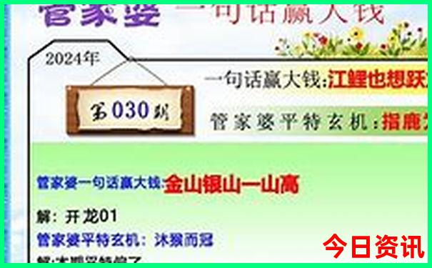2025澳门天天开好彩精准一码